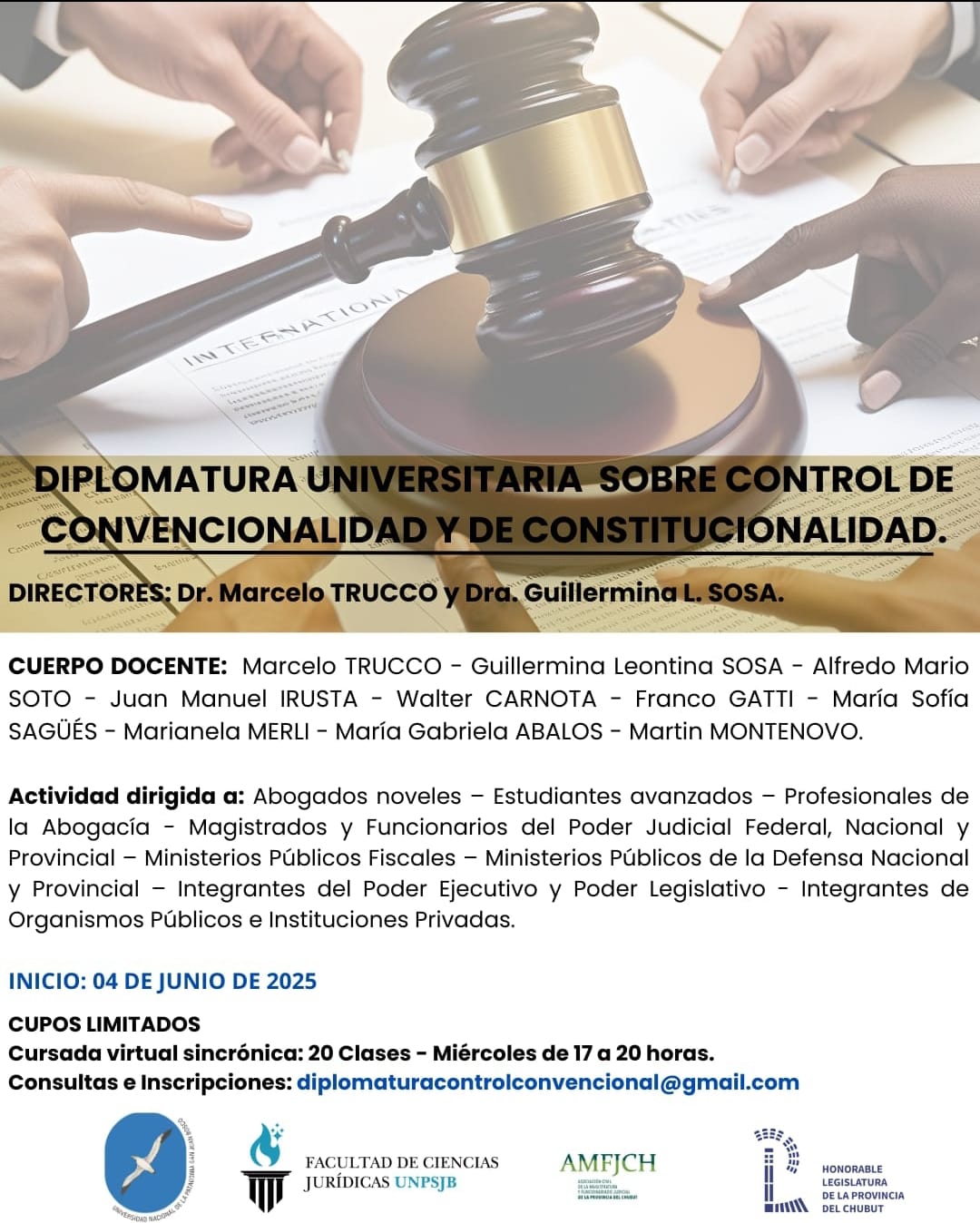 DIPLOMATURA UNIVERSITARIA SOBRE CONTROL DE CONVENCIONALIDAD Y DE CONSTITUCIONALIDAD